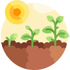 Planted Tree