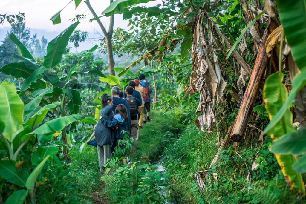 Banana eco farming volunteering program